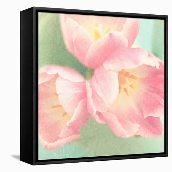 Resplendent Blossoms-Sarah Gardner-Framed Stretched Canvas