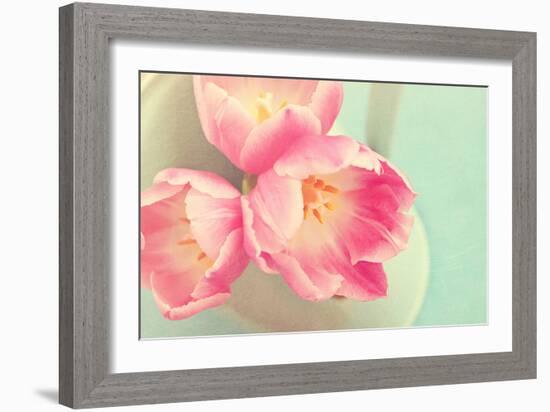 Resplendent Blossoms-Sarah Gardner-Framed Photographic Print