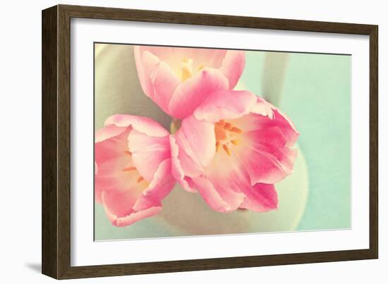 Resplendent Blossoms-Sarah Gardner-Framed Photographic Print