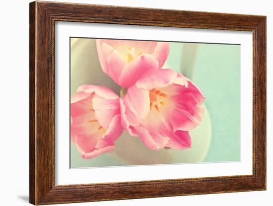 Resplendent Blossoms-Sarah Gardner-Framed Photographic Print