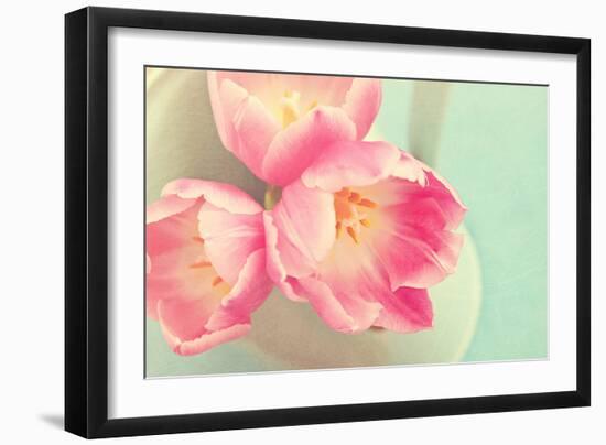 Resplendent Blossoms-Sarah Gardner-Framed Photographic Print