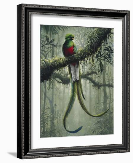 Resplendent Quetzal 2-Harro Maass-Framed Giclee Print