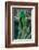 Resplendent Quetzal, Pharomachrus Mocinno, Magnificent Sacred Green Bird with Very Long Tail from S-Ondrej Prosicky-Framed Photographic Print