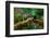 Resplendent Quetzal, Pharomachrus Mocinno, Savegre in Costa Rica, with Green Forest in Background.-Ondrej Prosicky-Framed Photographic Print