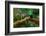 Resplendent Quetzal, Pharomachrus Mocinno, Savegre in Costa Rica, with Green Forest in Background.-Ondrej Prosicky-Framed Photographic Print