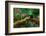 Resplendent Quetzal, Pharomachrus Mocinno, Savegre in Costa Rica, with Green Forest in Background.-Ondrej Prosicky-Framed Photographic Print