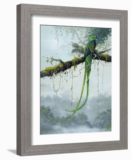 Resplendent Quetzal-Harro Maass-Framed Giclee Print