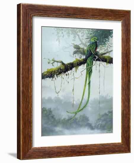 Resplendent Quetzal-Harro Maass-Framed Giclee Print