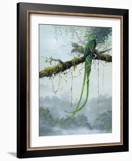 Resplendent Quetzal-Harro Maass-Framed Giclee Print