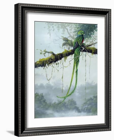 Resplendent Quetzal-Harro Maass-Framed Giclee Print