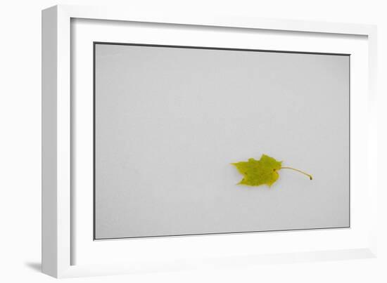 Rest in Peace-Adrian Campfield-Framed Giclee Print