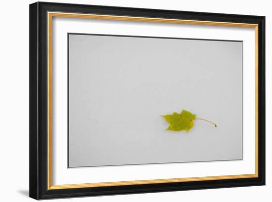 Rest in Peace-Adrian Campfield-Framed Giclee Print