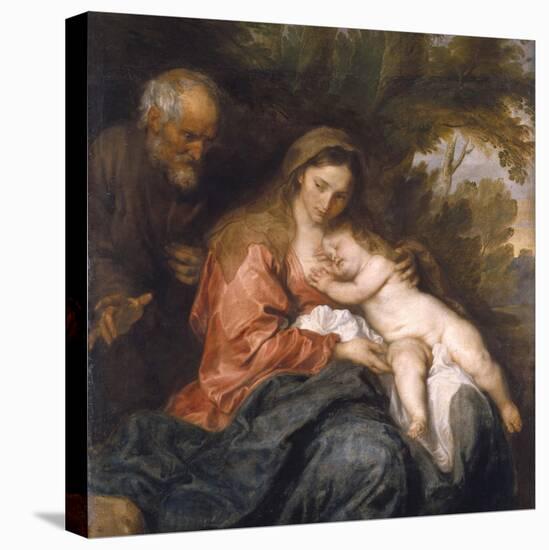 Stretched Canvas Print, , large