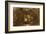 Rest on the Flight into Egypt-Rembrandt van Rijn-Framed Collectable Print