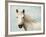 Rest-Irene Suchocki-Framed Giclee Print