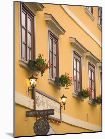 Restarant in Old Medieval Town, Western Transdanubia, Hungary-Walter Bibikow-Mounted Photographic Print