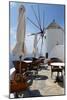 Restaurant Deck Windmill-Larry Malvin-Mounted Photographic Print