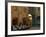 Restaurant in a Small Piazza, San Gimignano, Tuscany, Italy-Janis Miglavs-Framed Premium Photographic Print