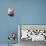 Restaurant Table Detail, Nonza, Le Cap Corse, Corsica, France-Walter Bibikow-Photographic Print displayed on a wall