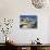 Restaurants in the Old Port with the Citadel in the Background, Calvi, Corsica-Peter Thompson-Photographic Print displayed on a wall