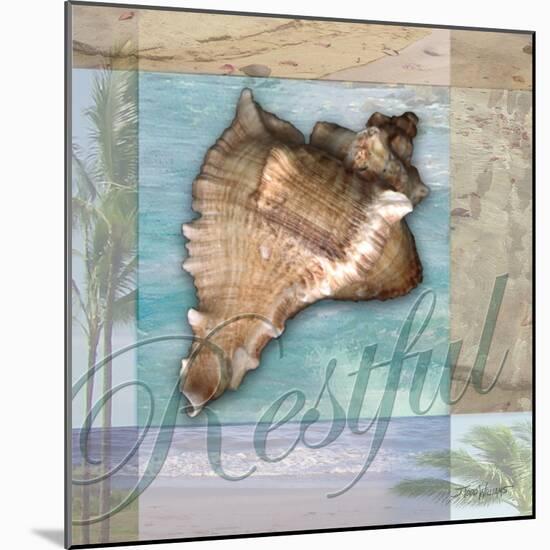 Restful Shell-Todd Williams-Mounted Art Print