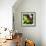 Resting Butterfly IV-Alan Hausenflock-Framed Photographic Print displayed on a wall