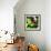 Resting Butterfly IV-Alan Hausenflock-Framed Photographic Print displayed on a wall