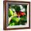 Resting Butterfly IV-Alan Hausenflock-Framed Photographic Print