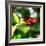 Resting Butterfly IV-Alan Hausenflock-Framed Photographic Print