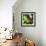 Resting Butterfly IV-Alan Hausenflock-Framed Photographic Print displayed on a wall