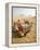 Resting Camels Gaze Across the Desert Sands of Giza, Cairo, Egypt-Dave Bartruff-Framed Premier Image Canvas