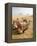 Resting Camels Gaze Across the Desert Sands of Giza, Cairo, Egypt-Dave Bartruff-Framed Premier Image Canvas