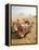 Resting Camels Gaze Across the Desert Sands of Giza, Cairo, Egypt-Dave Bartruff-Framed Premier Image Canvas