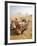 Resting Camels Gaze Across the Desert Sands of Giza, Cairo, Egypt-Dave Bartruff-Framed Photographic Print