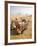 Resting Camels Gaze Across the Desert Sands of Giza, Cairo, Egypt-Dave Bartruff-Framed Photographic Print