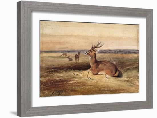 Resting Deer-Antoine Louis Barye-Framed Giclee Print