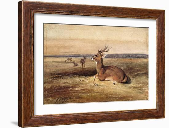 Resting Deer-Antoine Louis Barye-Framed Giclee Print