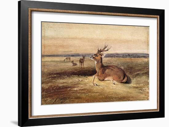 Resting Deer-Antoine Louis Barye-Framed Giclee Print