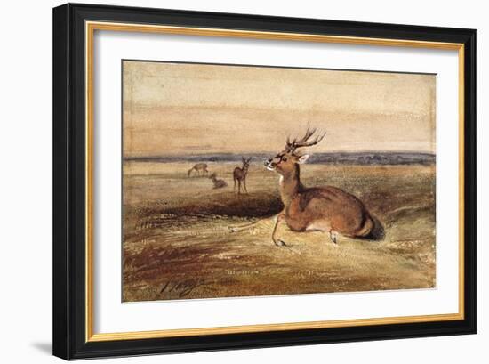 Resting Deer-Antoine Louis Barye-Framed Giclee Print