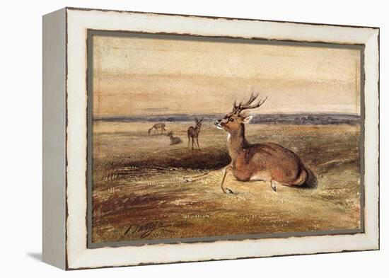 Resting Deer-Antoine Louis Barye-Framed Premier Image Canvas