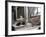 Resting Dog in Yanrakinnot, Providenia District-Daisy Gilardini-Framed Photographic Print