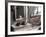 Resting Dog in Yanrakinnot, Providenia District-Daisy Gilardini-Framed Photographic Print