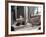 Resting Dog in Yanrakinnot, Providenia District-Daisy Gilardini-Framed Photographic Print