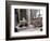 Resting Dog in Yanrakinnot, Providenia District-Daisy Gilardini-Framed Photographic Print