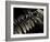 Resting Fern-Andrew Geiger-Framed Photographic Print