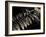 Resting Fern-Andrew Geiger-Framed Photographic Print