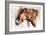 Resting Horse, 2013-Mark Adlington-Framed Giclee Print