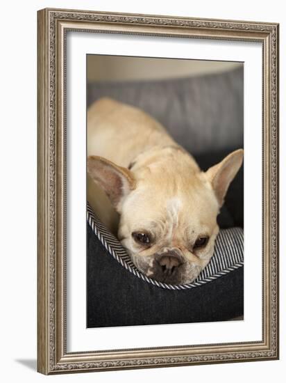 Resting II-Karyn Millet-Framed Photographic Print