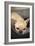 Resting II-Karyn Millet-Framed Photographic Print