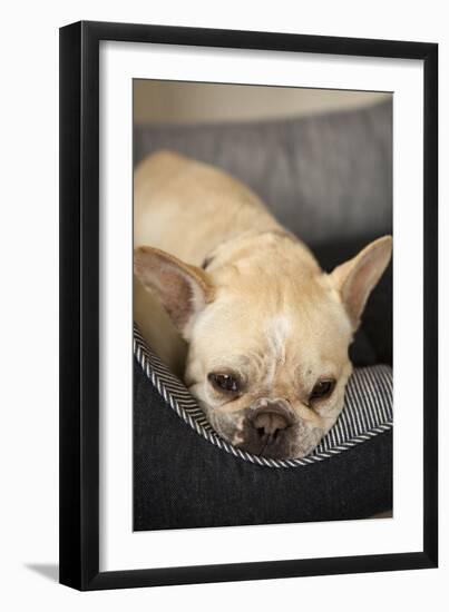 Resting II-Karyn Millet-Framed Photographic Print